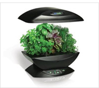 Product display of AeroGrow AeroGarden with Gourmet Herb Seed Kit