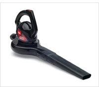 Small product picture of an electric leaf blower review.