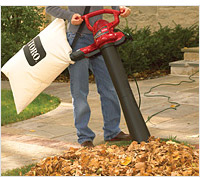 Small product picture of a leaf vacuum review.